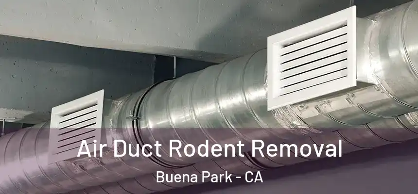  Air Duct Rodent Removal Buena Park - CA