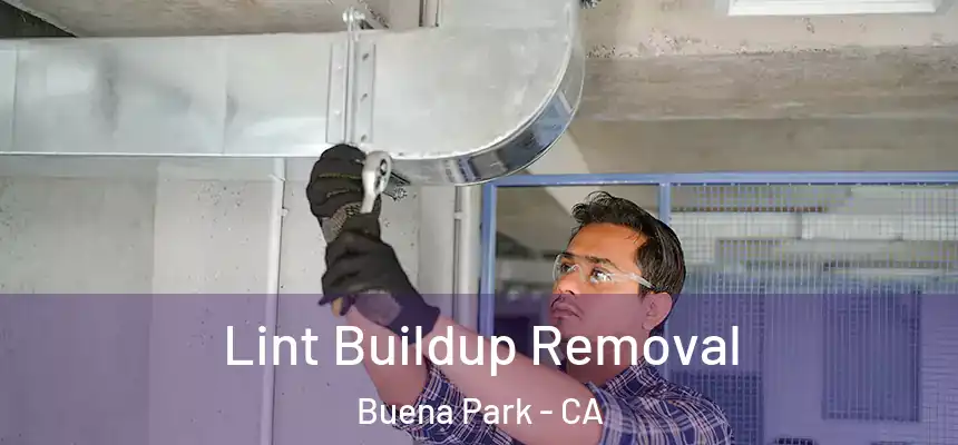  Lint Buildup Removal Buena Park - CA