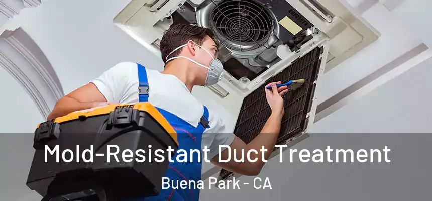  Mold-Resistant Duct Treatment Buena Park - CA