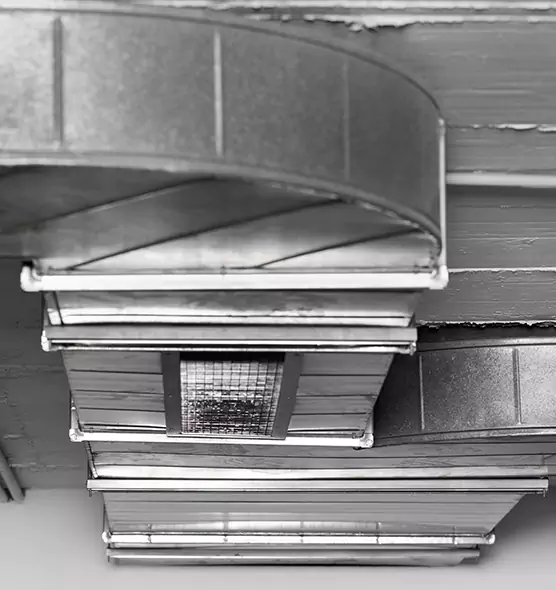 Professional Air Duct Pet Hair Removal in Buena Park, CA