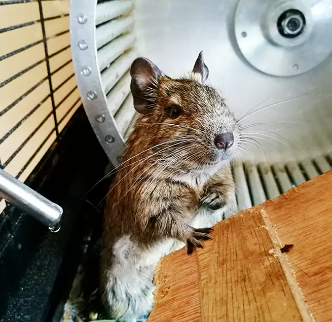 Why Homeowners & Businesses Trust Us Buena Park, CA?