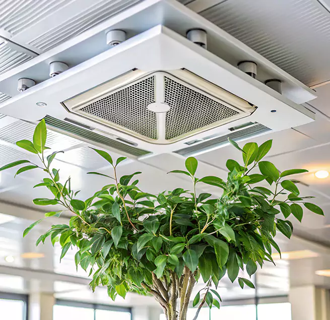 Why Homeowners & Businesses Trust Us in Buena Park, CA?