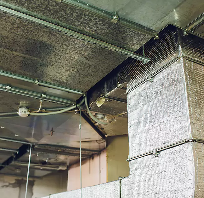 Why Homeowners & Businesses Trust Us in Buena Park, CA?